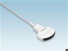 Aloka UST-9123 Convex Probe